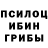 Галлюциногенные грибы Magic Shrooms Vnezapno Tak