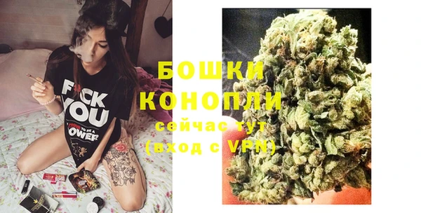 молекула духа Аркадак