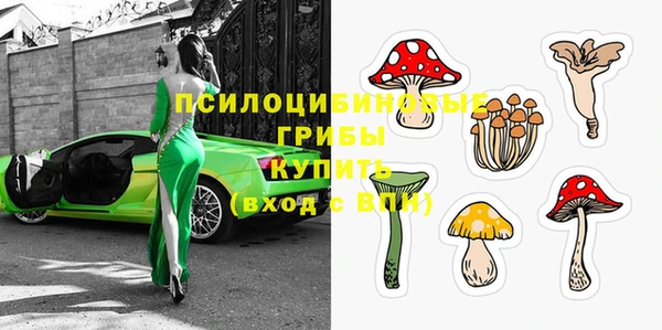 трава Арсеньев