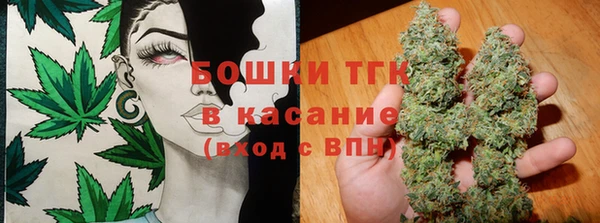 трава Арсеньев