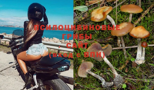 бошки Армянск
