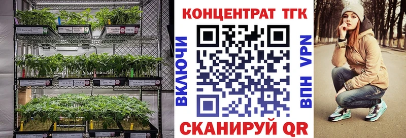ТГК концентрат Салехард
